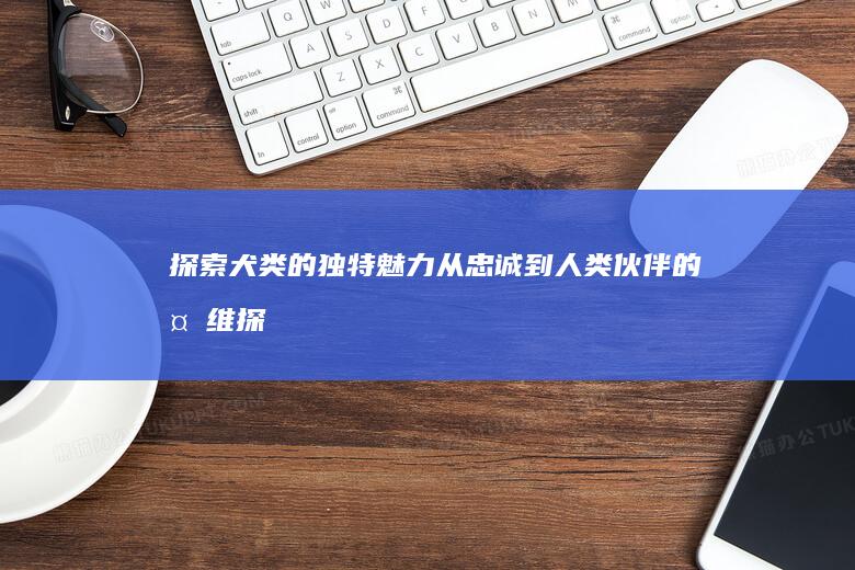 探索犬类的独特魅力：从忠诚到人类伙伴的多维探索